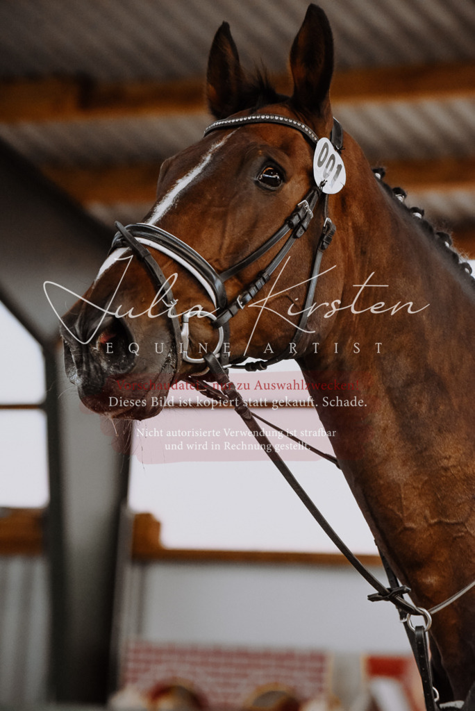 DSC_7487 | Pferde- und Turnierfotografie in Westsachsen. Pferdeportraits, Auftragszeichnungen und intuitive Kunst.