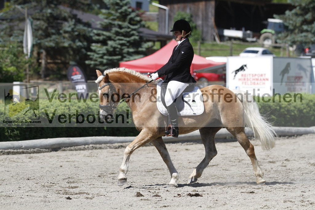 _MG_4214 | equestrian-live-com