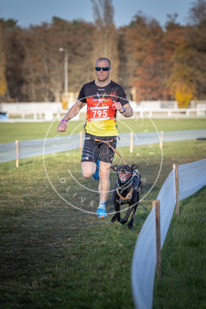 CaniXpix_DV3A2846 | Hundefotografie, Tierfotograf, Pfotenfotografie, Fotoshooting Hund, Hunde Portrait, Hundesport, Hundeportraits, Heideshooting, Hunde, Sportfotograf, Hundefotograf, Turnierhundsport, THS,  - Realisiert mit Pictrs.com