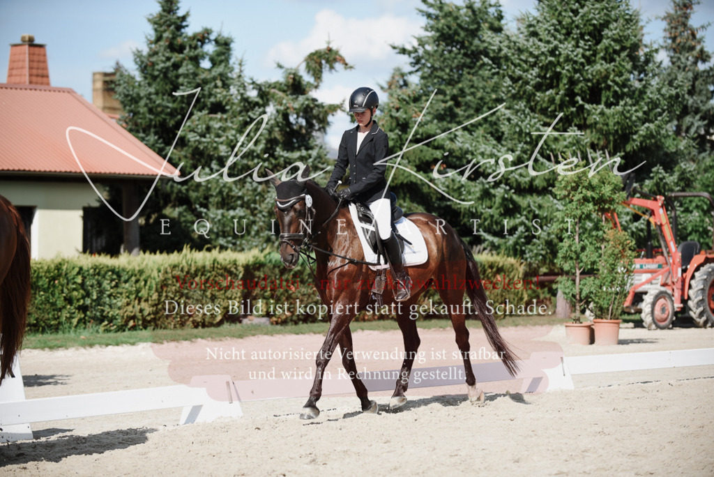 DSC_0038 | Pferde- und Turnierfotografie in Westsachsen. Pferdeportraits, Auftragszeichnungen und intuitive Kunst.