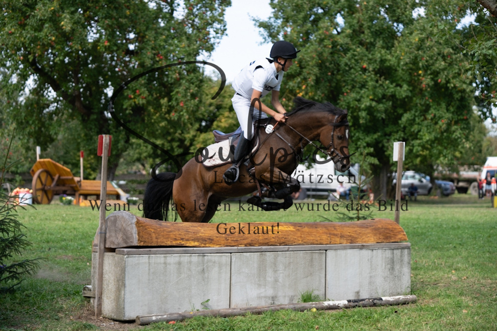 A7V03836 | Pferdefotograf