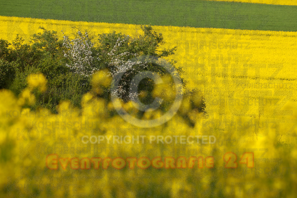 220501_0917_EX2_8299 | Sport- und Eventfotografie