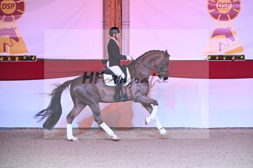 Feliciano_Wadenspanner_2254415 | hf-fotografie - Realisiert mit Pictrs.com