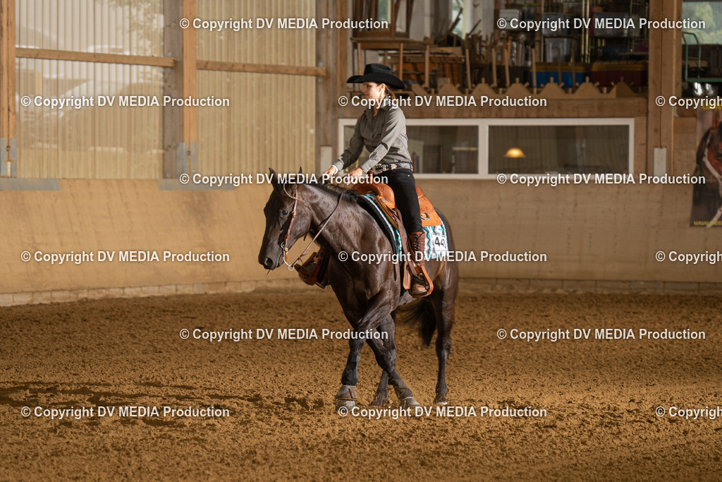 LAU00496 | dv-media-shop - Realisiert mit Pictrs.com