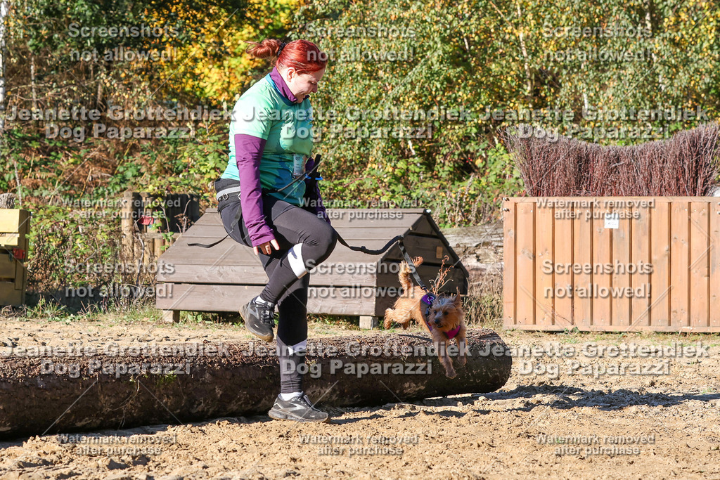 Dog Paparazzi - Strongdog 10-25-1819 | Dog Paparazzi Jeanette Grottendiek Fotografie & Videografie - Realisiert mit Pictrs.com