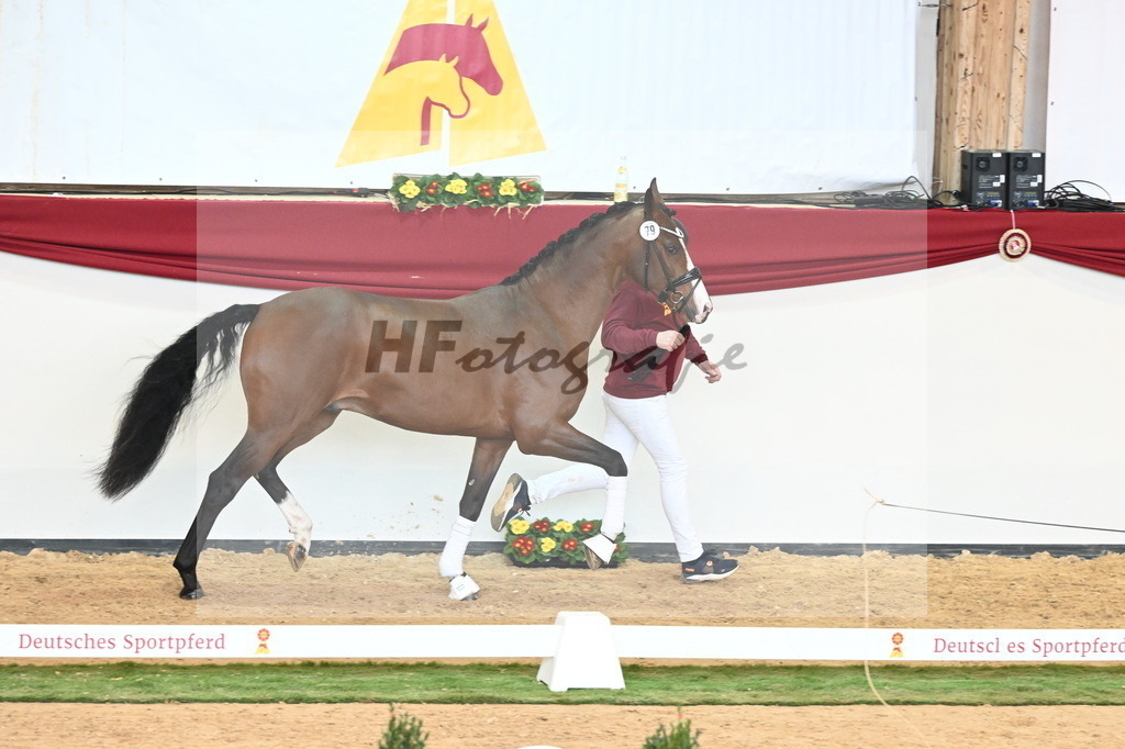 Kat.-Nr. 79 v. Valverde_Gaab_2241001 | hf-fotografie - Realisiert mit Pictrs.com