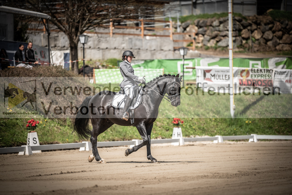 DSC_1275 | equestrian-live-com