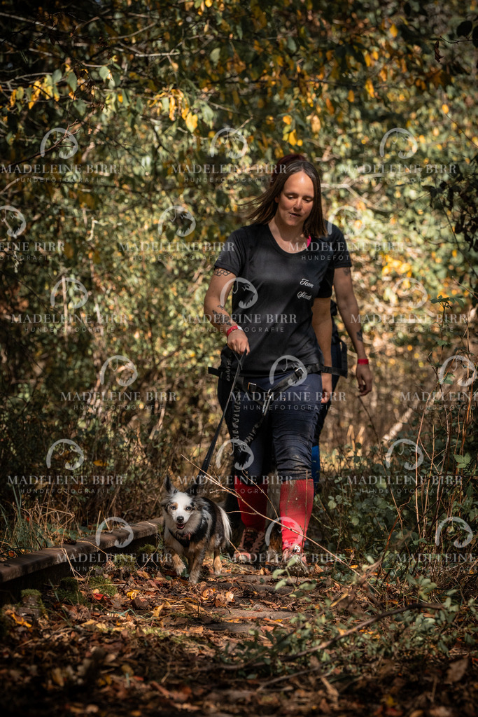 madeleinebirr.fotografie.2026.cc.hunsrueck.12-13Uhr.320 | hundefotografie-birr