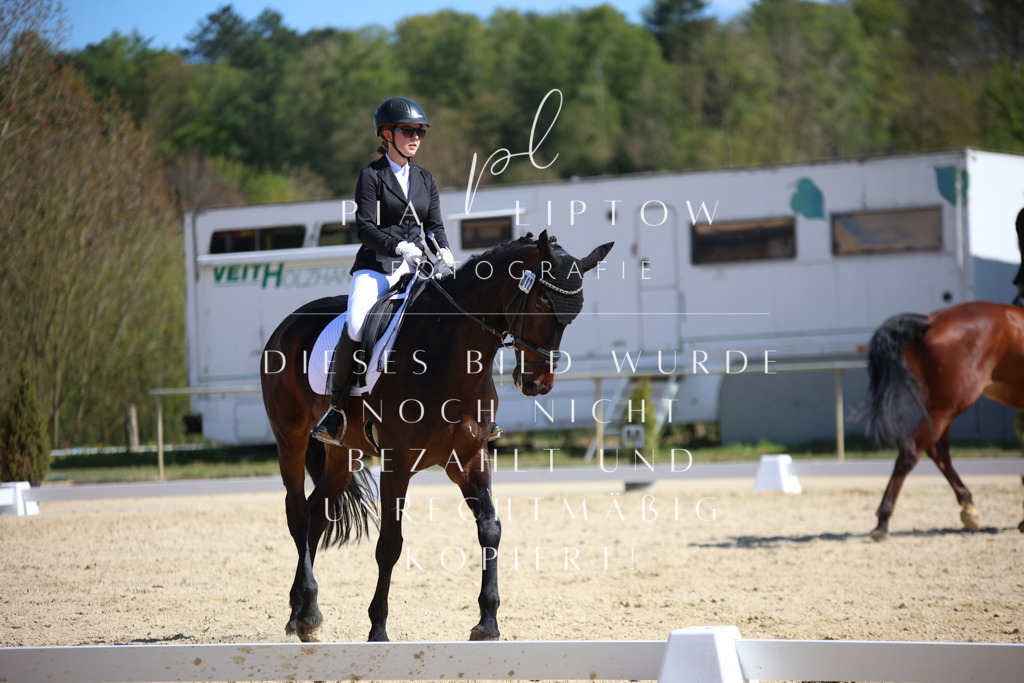 IMGT1890 | pl-fotografie