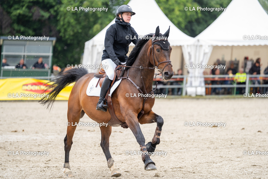 DSC07147 | Entdecke einzigartige Turnierfotos und persönliche Pferde- und Hundeportraits bei LA Photography. Für jeden Reiter und Pferd das perfekte Bild! Stöbere jetzt! - Realisiert mit Pictrs.com