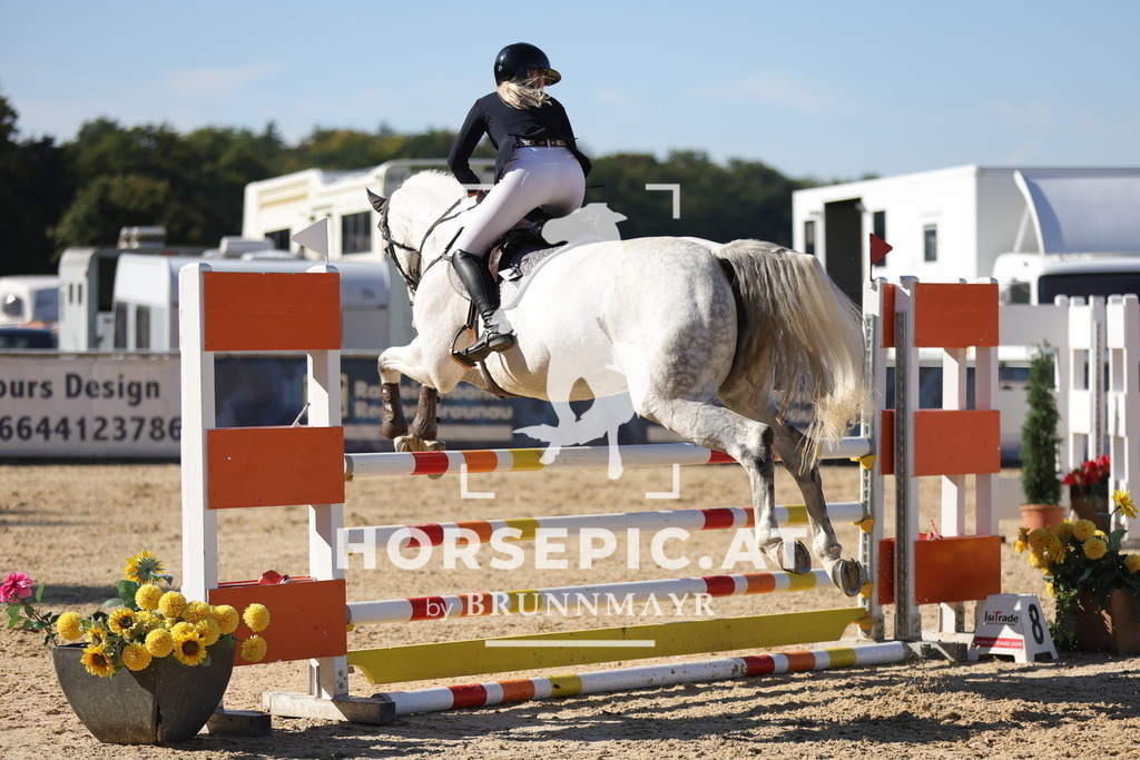 0P6A0917 | Willkommen bei Brunnmayr - Design & Fotografie – Ihrem Spezialisten für Reitturniere und Pferdeveranstaltungen in Oberösterreich, Salzburg und Bayern! Seit über 17 Jahren sind wir leidenschaftlich dabei.