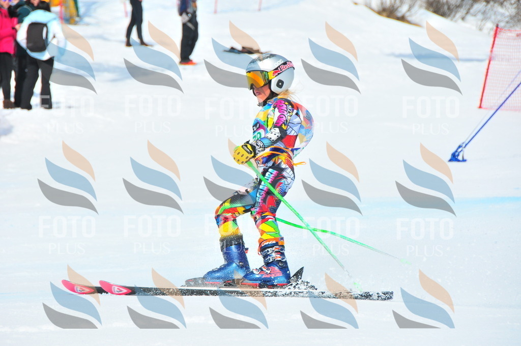 DSC_1633 | holidayphoto