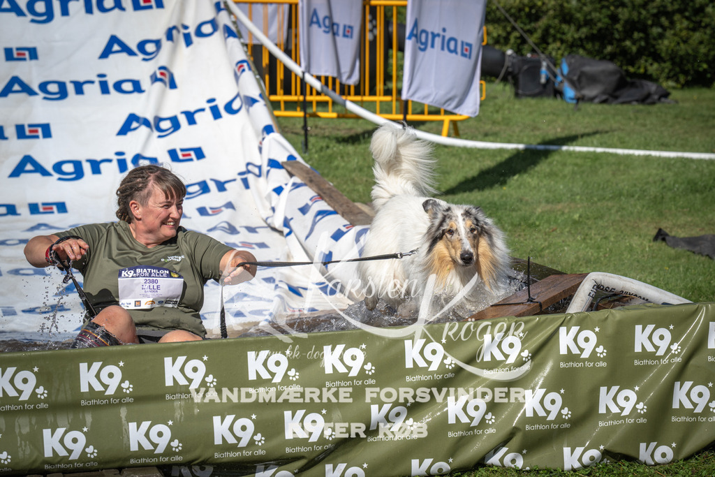 1622_ZZ99650 | kk-dogfotos