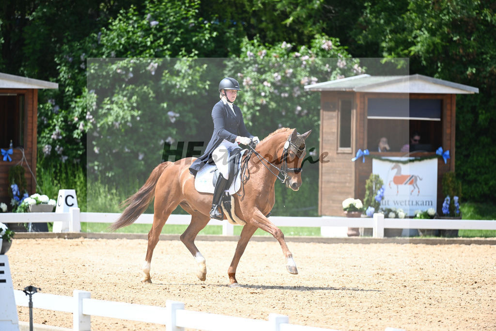 Schwegler_Eigenwijs_12243798 | hf-fotografie - Realisiert mit Pictrs.com