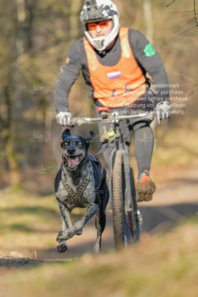 Sa_Scooter-199 | stephaniefillaphotographie - Realisiert mit Pictrs.com