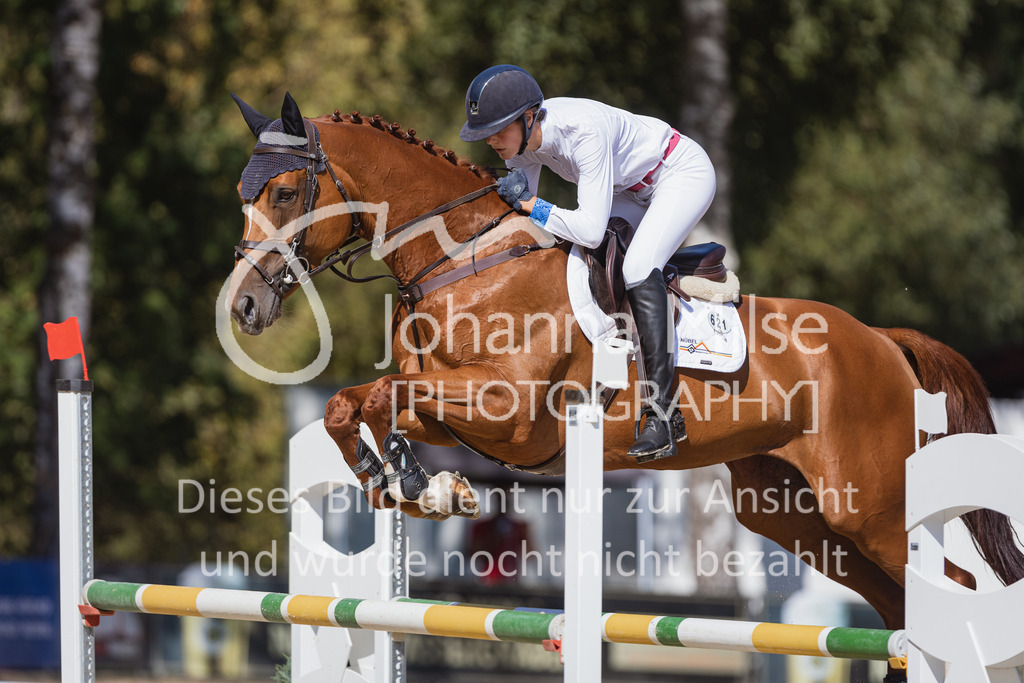 220824_Delbrueck_Stil-M1-221 | Deine schönsten Turniermomente als professionelle Fotos! Entdecke hochwertige Pferdesport-Fotografie im Online-Shop. Jetzt Fotos finden & bestellen!