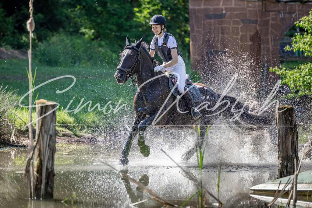 20260523-_3LI7066 | Tierfotografie Pferde, Hunde, Katzen, Haustiere.
Turnierfotografie Reitturniere, Reiten, Springreiten, Dressur in Hanau, dem Main-Kinzig-Kreis und dem Rhein-Main- Gebiet um Frankfurt