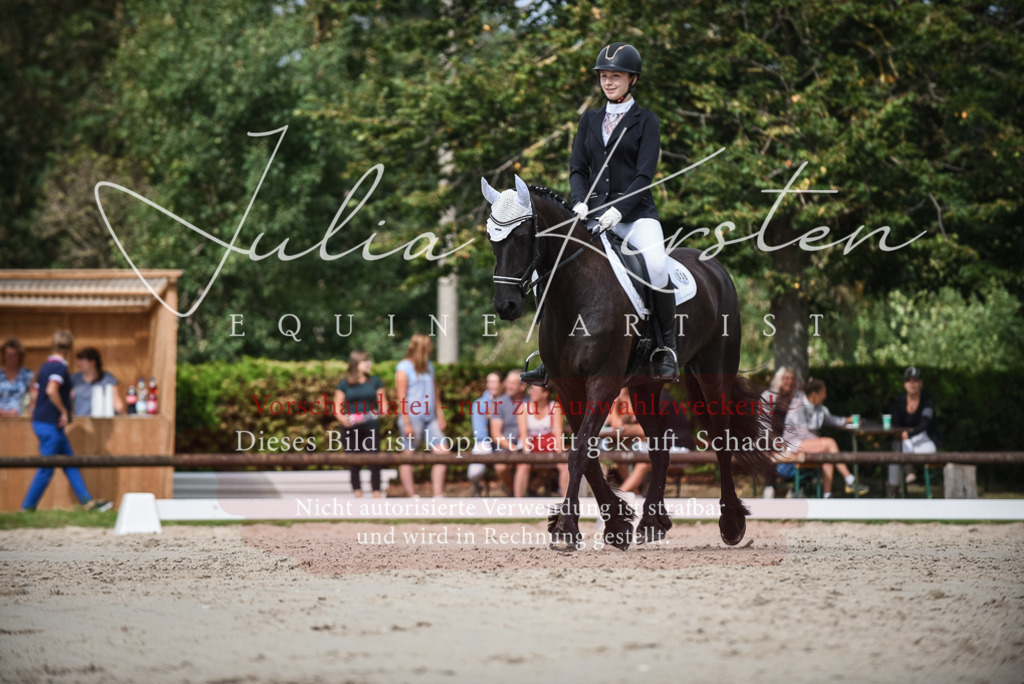 DSC_8582 | Pferde- und Turnierfotografie in Westsachsen. Pferdeportraits, Auftragszeichnungen und intuitive Kunst.