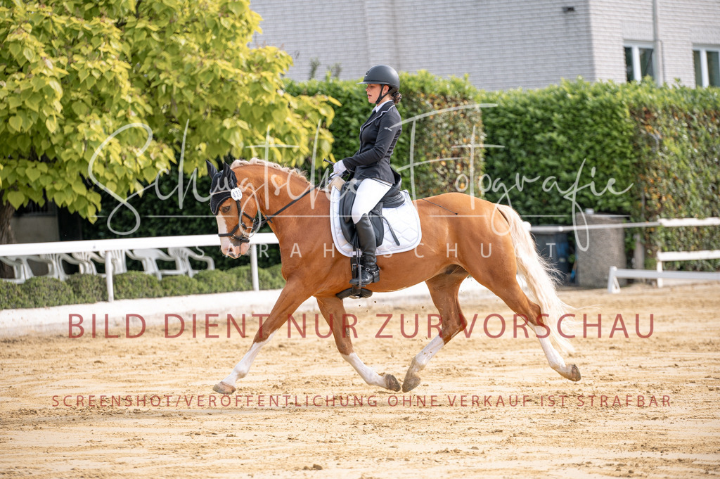 Schugtsche-Aluta25-40.DressurprfA_-142 | Schugtsche Fotografie - Realisiert mit Pictrs.com