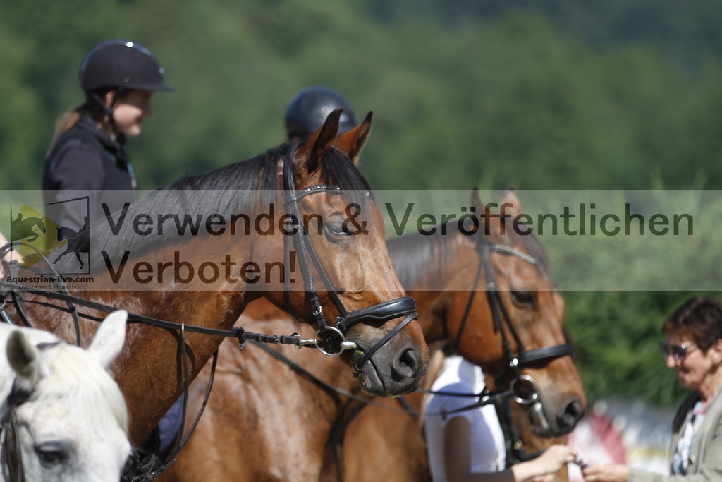 _MG_2651 | equestrian-live-com