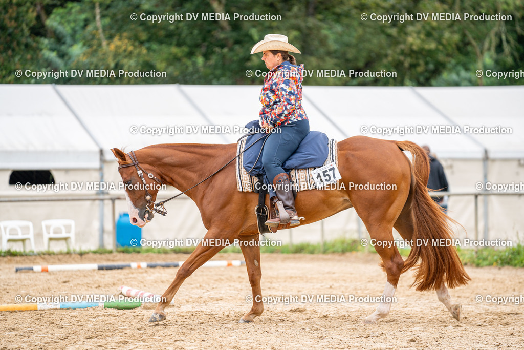 LM Heiligenwald Tag 3-980 | dv-media-shop - Realisiert mit Pictrs.com