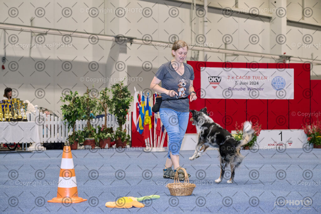 202406_ÖKV-IHA-Tulln24_NZ9_7700 | proPHOTO - Realisiert mit Pictrs.com