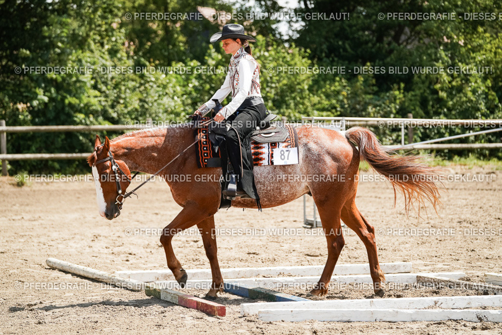 DSC07707 | Pferdegrafie