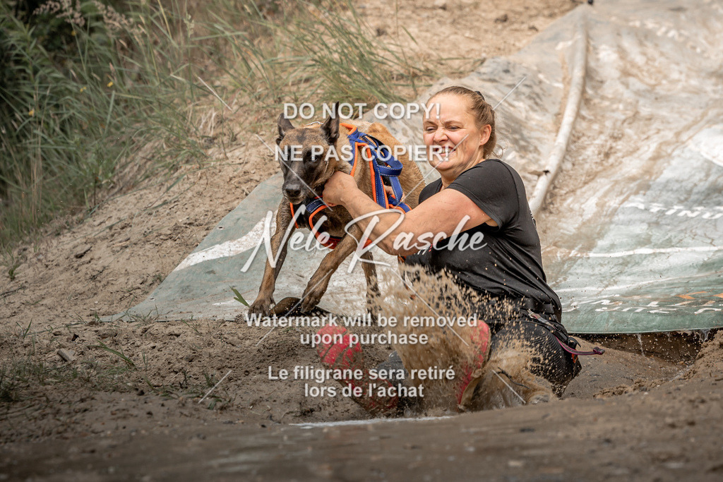 nelerasche_sa1300-1345_434 | nelerasche