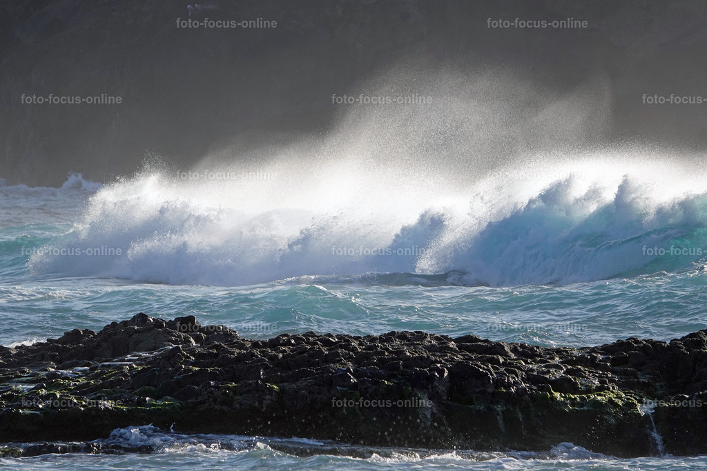 waves | Elemental power of the waves