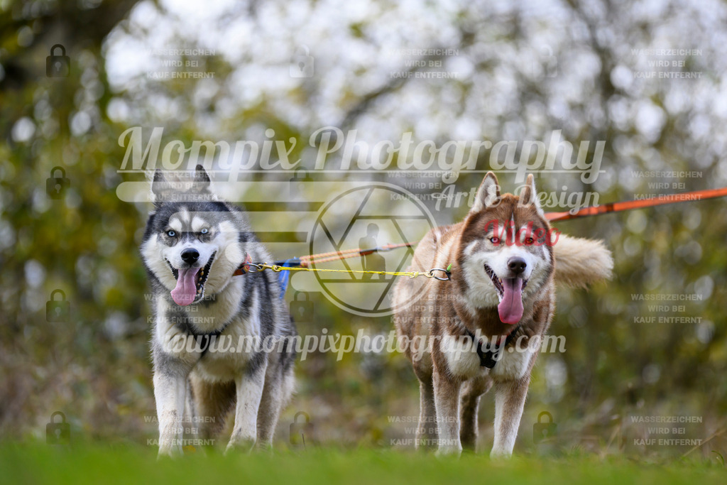 MompixPhotography_2OATB_SO_Scooter-58 | PayLife