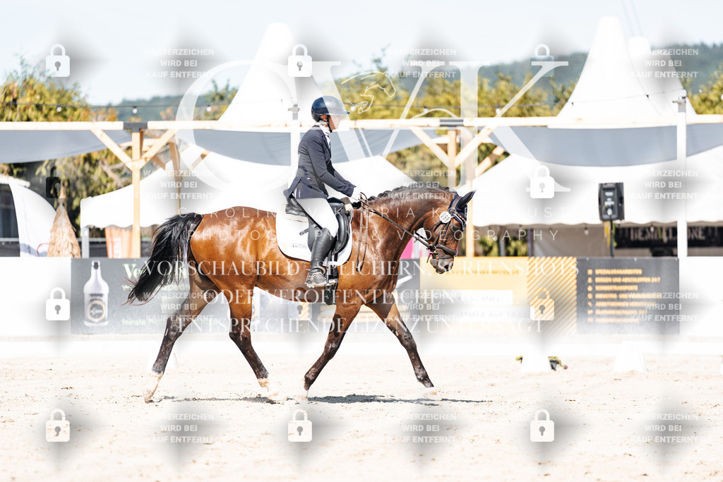 CK909359 | Turnierfotografie Pferdefotografie Trier Rheinland-Pfalz Pferdesport Reitsport Tierfotografie Sportfotografie Pferdevideo Pferdevideografie Equestrianvideography equestrianphotography  - Realisiert mit Pictrs.com