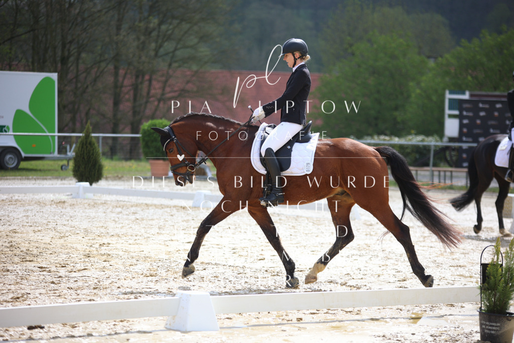 IMGT3630 | pl-fotografie