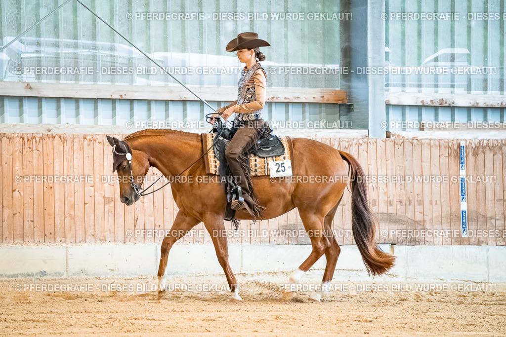 DSC00014 | Pferdegrafie