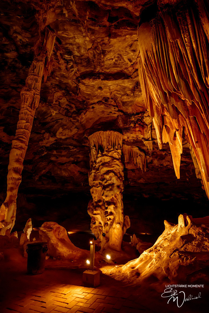 20231004-115732 SOUTHAFRIKA_-1 | Herzlich willkommen auf meiner Seite! Ich bin Elke Wallnisch, Deine Fotografin für lichtstarke Momente. Der Name steht für alles, was mich mit der Fotografie verbindet: Das Licht und seine machtvolle Wirkung auf eine Situation oder unsere Stimmung - Realisiert mit Pictrs.com