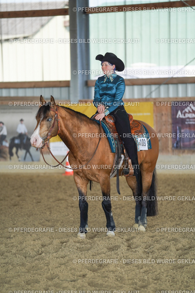 DSC09987 | Pferdegrafie