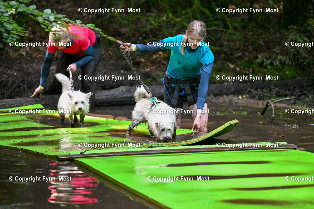 DSC_1010 | Hallo und herzlich Willkommen auf meiner Shop-Seite Fynn Most.

Ich wünsche Dir viel Spaß beim stöbern durch die Bilder, wenn Du Fragen hast oder Bilder vermisst, kannst du mir gerne eine Nachricht schreiben. - Realisiert mit Pictrs.com