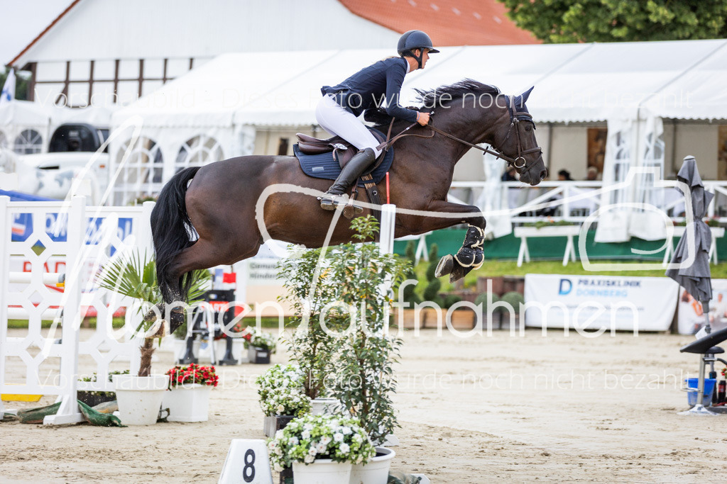 BHO-2PhSpr-M-5-2032 | MomenTaufnahmen Pferdesportfotos