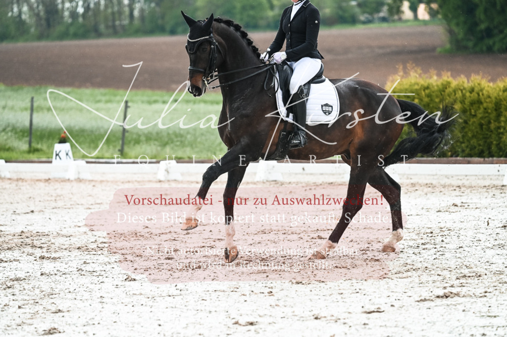 DSC_4357 | Pferde- und Turnierfotografie in Westsachsen. Pferdeportraits, Auftragszeichnungen und intuitive Kunst.
