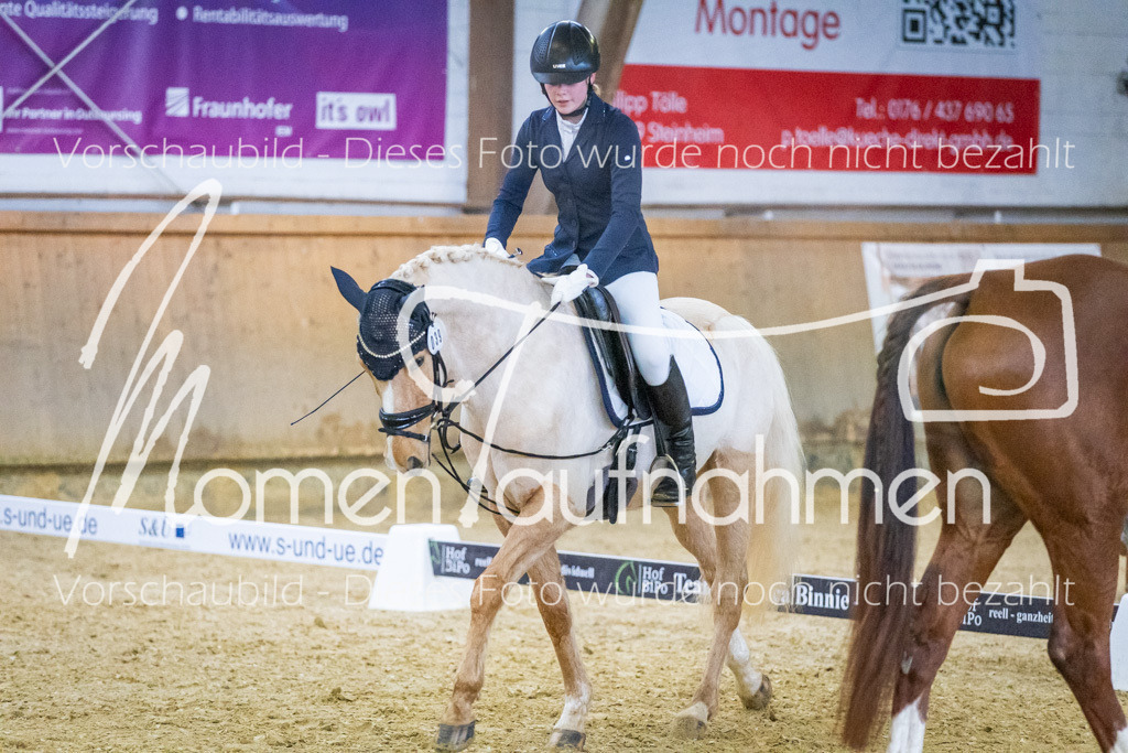 Sth-WBO25-DrR-076 | MomenTaufnahmen Pferdesportfotos