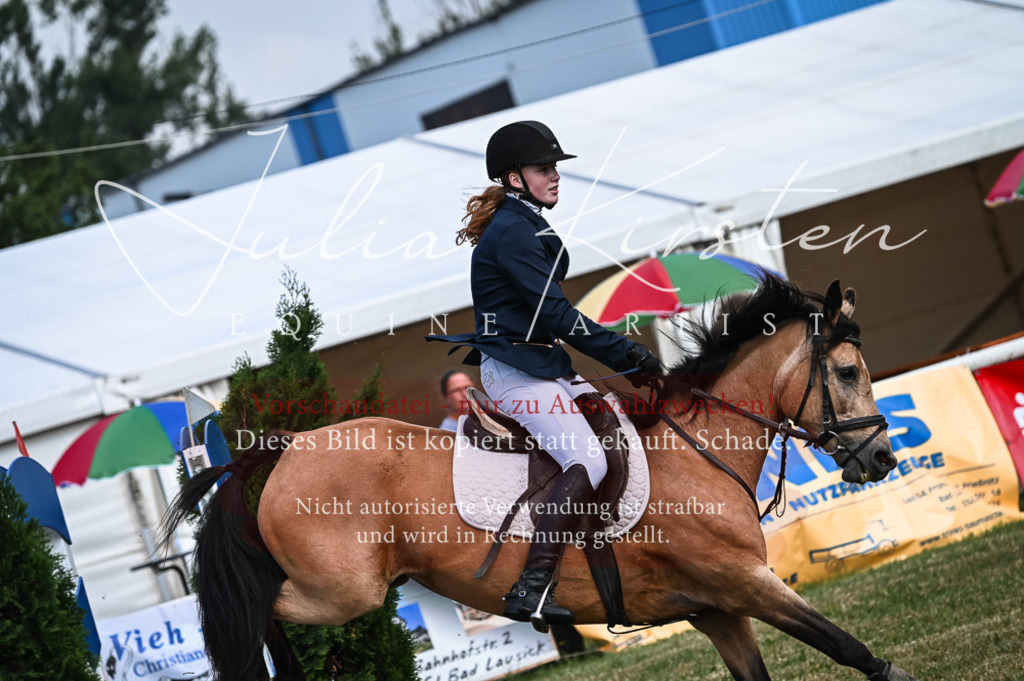 DSC_8029 | Pferde- und Turnierfotografie in Westsachsen. Pferdeportraits, Auftragszeichnungen und intuitive Kunst.