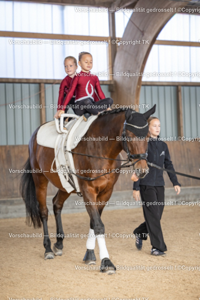 _D5A6697 | Emotionale Pferde- & People-Fotografie rund um Heidelberg, Leimen & Umgebung. Natürliche Fotos von Pferd, Mensch & Familie. Jetzt Termin sichern!