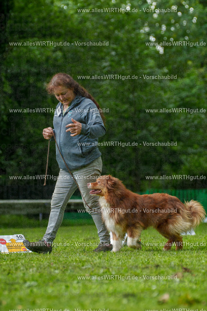 @allesWIRTHgut_Tierfotografie - www.allesWIRTHgut.de - 7R505087 | Professionelle Tierfotografie in Mönchengladbach von Daniel Wirth (allesWIRTHgut). Liebevolle & natürliche Bilder von Hunden & Katzen für unvergessliche Erinnerungen.