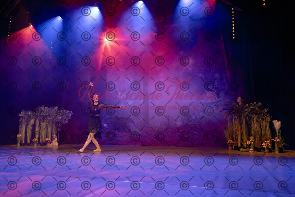 Ballettaufführung-401 | Bildershop Lem'n Entertainment - Realisiert mit Pictrs.com