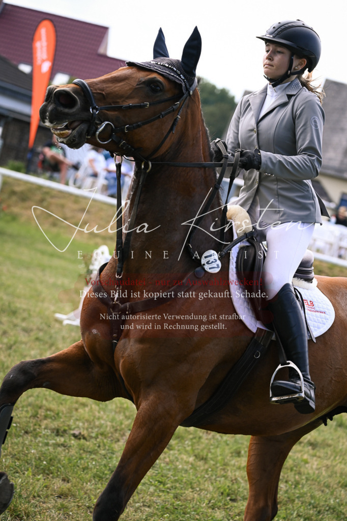 DSC_0585 | Pferde- und Turnierfotografie in Westsachsen. Pferdeportraits, Auftragszeichnungen und intuitive Kunst.