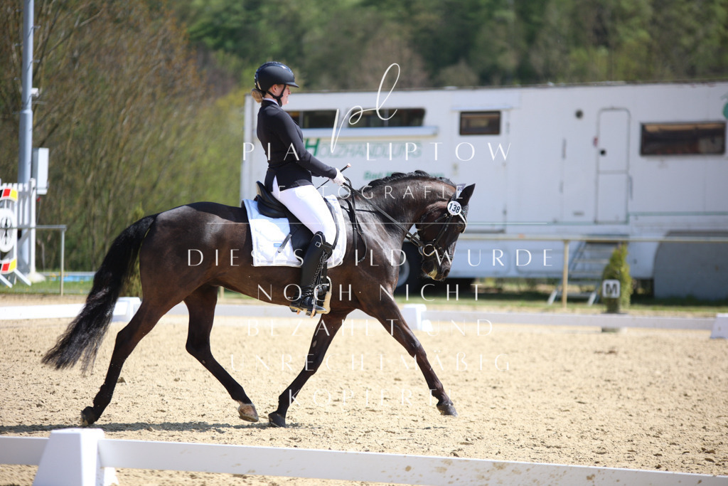 IMGT7243 | pl-fotografie