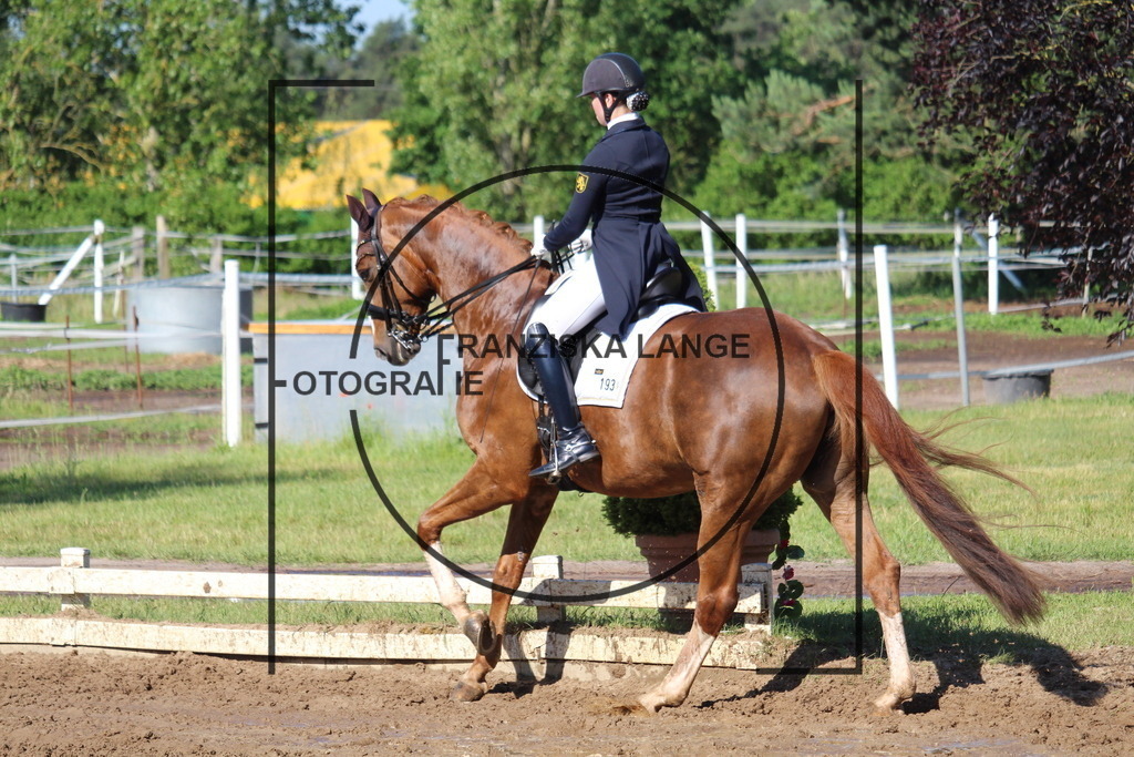 IMG_6406 | franziskalange - Realisiert mit Pictrs.com