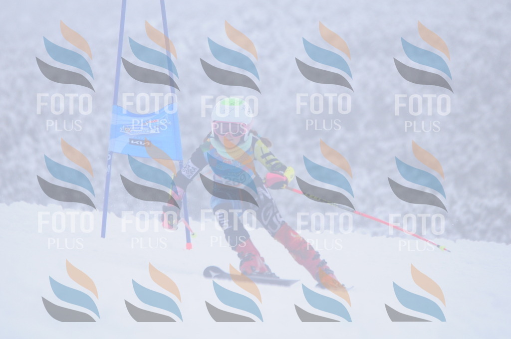 C2820 | holidayphoto