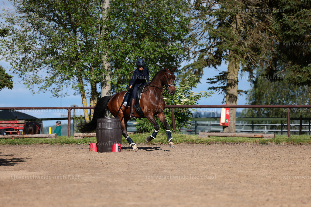 KlasseL_Stoibphotography_CAM24130.JPG | working equitationturnier fotograf videograf stoibphotography marixx film working equitation deutschland reitsport turnierfotografie eventfotografie equestrian events