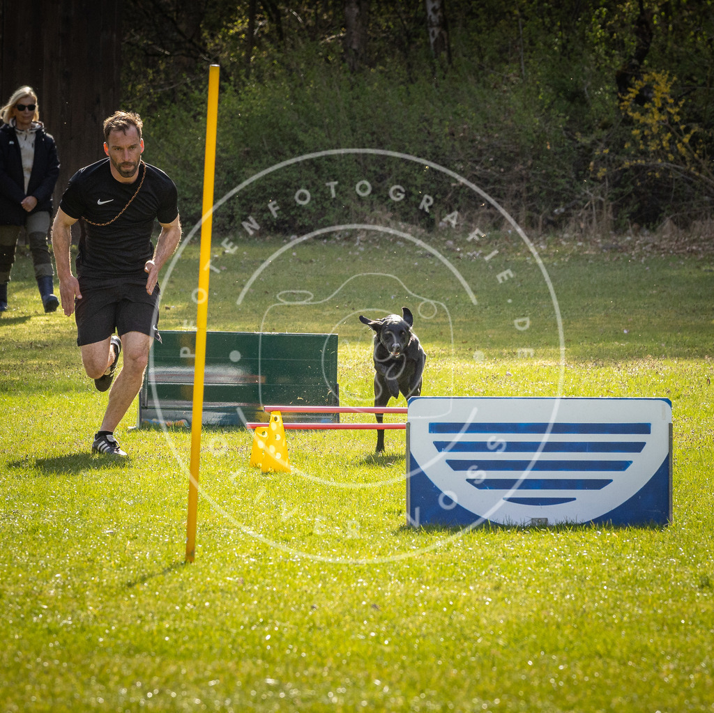 Pfotenfotografie_DV3A2947 | Hundefotografie, Tierfotograf, Pfotenfotografie, Fotoshooting Hund, Hunde Portrait, Hundesport, Hundeportraits, Heideshooting, Hunde, Sportfotograf, Hundefotograf, Turnierhundsport, THS,  - Realisiert mit Pictrs.com