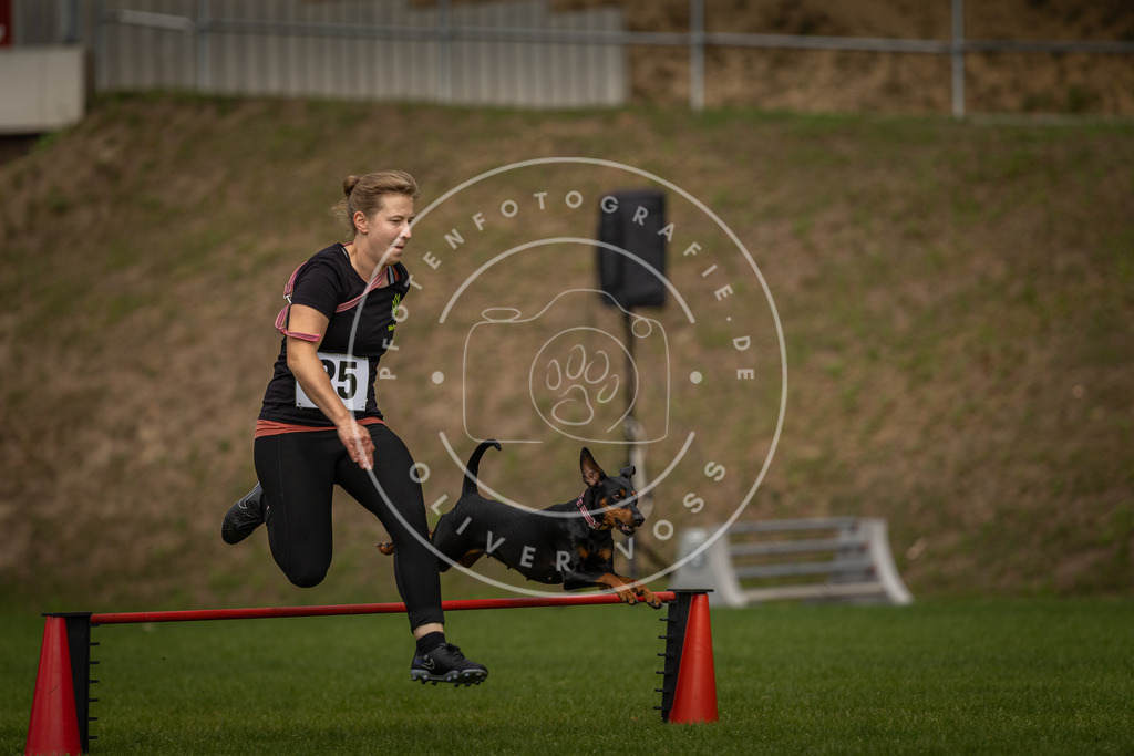 Pfotenfotografie_DV3A7603 | Hundefotografie, Tierfotograf, Pfotenfotografie, Fotoshooting Hund, Hunde Portrait, Hundesport, Hundeportraits, Heideshooting, Hunde, Sportfotograf, Hundefotograf, Turnierhundsport, THS,  - Realisiert mit Pictrs.com